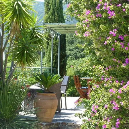 Holiday home Sur Le Cap Negre Le Lavandou